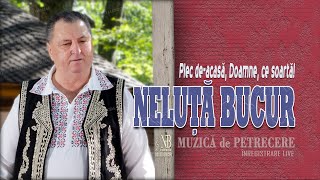 NELUTA BUCUR  Plec de acasa Doamne ce soarta Colaj de Petrecere [upl. by Eelahc434]