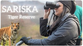 Delhi To Sariska By Road  Sariska Tiger Reserve  Safari Booking  Siliserh Lake  Neelkanth Mandir [upl. by Daggna]