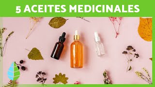 5 ACEITES MILAGROSOS para MEJORAR TU SALUD 💚🌼 Aceites de Plantas Medicinales [upl. by Damalas475]