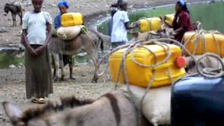 Green Lake Arenguade Bahir Debre Zeit in Ethiopia [upl. by Fenner]