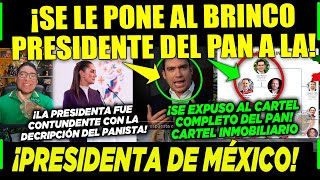 SAN LUNES PANISTA SE LE PONE AL BRINCO ¡A LA PRESIDENTA DE MÉXICO CLAUDIA ¡YA VALIÓ CHETOS [upl. by Quint]