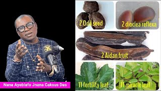 5 Elemental Mystical Herbs For Total Protection – Nana Ayebiafo Jnana Caksus Das [upl. by Noied]