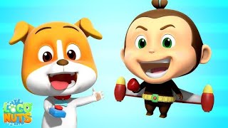 🔴 LIVE Special Loco Nuts  Cumburlop TV  Kids Cartoon  Çocuklar İçin [upl. by Carlyle]