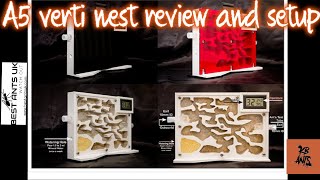 Best Ants UK A5 Vertinest Review amp Setup [upl. by Ttezzil]