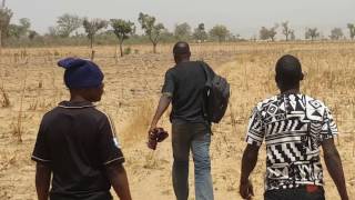 Farming Nigeria Arable Land for Maize Soyabean and Beans planting in Kaduna State [upl. by Tergram]