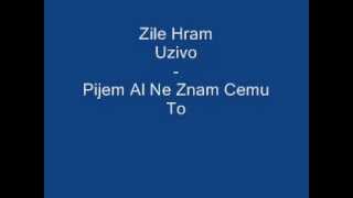 Zile Hram Uzivo  Pijem Al Ne Znam Cemu To [upl. by Gianina]