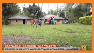 Wahudumu wa afya watumia vyakula vya kiasili kakamega [upl. by Madelina544]