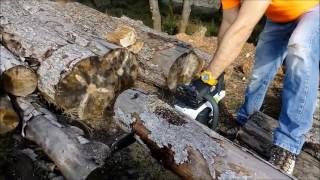 Sterwins 36V cordless CHAINSAW review [upl. by Ishmael]