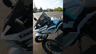 2024 Ninja 500 Walk Around ninja500 [upl. by Dnarb]