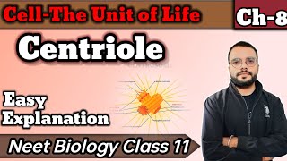 Centriole  Centrosome  Cell  The unit of life [upl. by Odelle413]