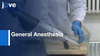 Systematic Assessment WellBeing In Mice For Procedures Using General Anesthesia l Protocol Preview [upl. by Mariann]