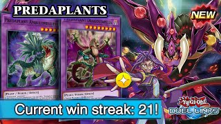 FINALLY PREDAPLANTS is TIER 1 200 WINRATE and F2P THANKS to SKILL Duel Links [upl. by Biddy]