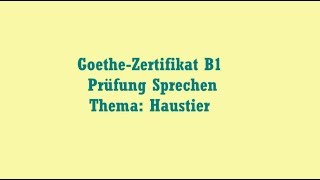 GoetheZertifikat B1 Prüfung Sprechen Thema Haustier [upl. by Lovering]