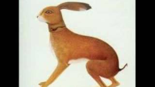 Vashti Bunyan  Hidden [upl. by Kare18]