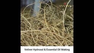 Vetiver Herb water Hydrosol  Making Video [upl. by Grunberg]