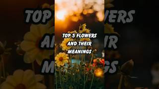 🌸 Top 5 Flowers and Their Meanings 🌼 [upl. by Atived]