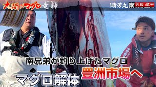 大間のまぐろ 竜神［第4巻豊洲市場出荷］解体 マグロ漁師 晴芳丸 南兄弟 死闘の決戦 冬の陣 巨大鮪を追いかける 延縄漁 釣り 漁船 おおま りゅうじん まぐろのさばき方 [upl. by Leorsiy451]