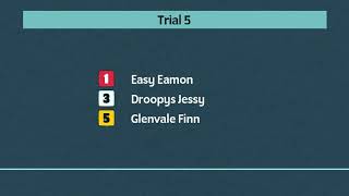 Monmore Greyhounds Trials on 23rd October 2024 [upl. by Lati17]