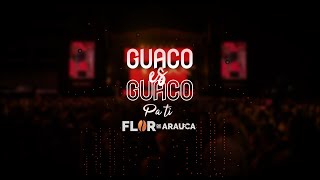 GUACO ES GUACO  Pa ti [upl. by Enilatan]