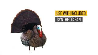 Higdon Outdoors TruStrutter XS Motion Turkey [upl. by Hpejsoj774]