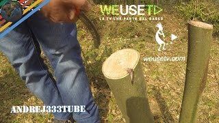 Innesto a triangolo su castagno selvatico parte 4 di 5  Tecniche di innesto su alberi da frutto [upl. by Ioab]