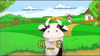 The ae song  Moo Cow Phonics [upl. by Ikcir]