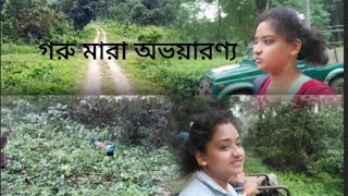 গরু মারা জঙ্গল সাফারিঅভয়ারণ্যে গিয়ে কাদের দেখা পেলাম [upl. by Verne944]