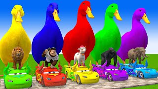 5 Giant Duck CartoonCowElephantGiraffeTigerLion Paint Wild Animals Crossing Fountain Animation [upl. by Juliet]