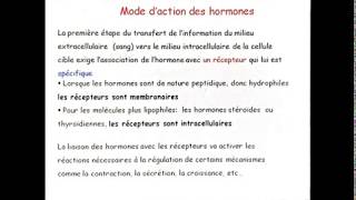 Cours Mode d’action des hormones stéroïdes et thyroïdiennes  Physiologie Animale SVI S4 [upl. by Lubow]