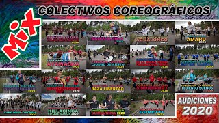 Mix Colectivos Coreográficos 2020 Pasto 🎧 Audiciones [upl. by Clemens842]