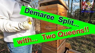 Demaree Split Method Achieving a Dual Queen Hive [upl. by Arrehs]