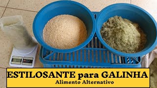 Estilosante na Alimentação de GALINHAS [upl. by Isoj]