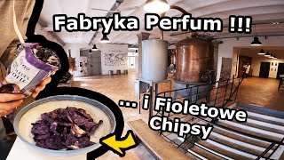 Zwiedzamy Muzeum oraz Fabrykę Perfum   Spacer po miasteczku Grasse Jemy Fioletowe chipsy 657 [upl. by Drarej766]