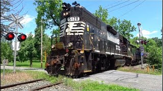 Colebrookdale Railroad Doubleheader Feat NS 5128 [upl. by Clorinde]