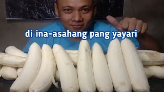 The 25 pcs Stanfilco Banana Challenge  Eating banana  EDCONS VLOG mukbang [upl. by Allenod]