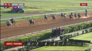 Live Hippodrome « MEKNES »  Courses du « 21112024 » [upl. by Elbart442]