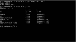 UBUNTU 1204 Installing the openLDAP Server [upl. by Leid441]