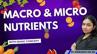 MACRO NUTRIENTS amp MICRO NUTRIENTS  Basic concept  by ThePrepZone nutrients NCERT biology [upl. by Lance]