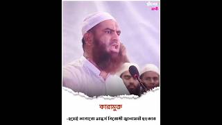 আল্লামা মামুনুল হক। New waz mamunul hok। 2024 [upl. by Ariajay]