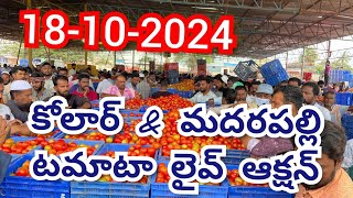 kolar tomato market ratetoday Kolar tomato market price kolar tomato market rates [upl. by Riplex770]