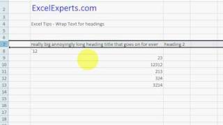 ExcelExpertscom  Excel Tips  Wrap Text for headings [upl. by Rettke]