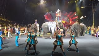 Highlights from Ringling Bros Circus Xtreme 2015 tour [upl. by Choong]