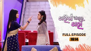 Tarini Akhira Tara  Full Ep 1614  29th April 2023  Odia Serial – TarangTV [upl. by Melody3]