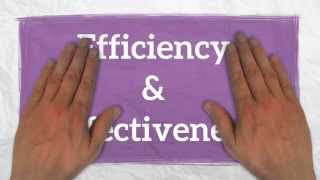 Efficiency amp Effectiveness 3 Levels of Managers [upl. by Kerat672]