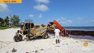 Sargassum Seaweed harvester put to work at Sandals Beach to help clear the brown seaweed [upl. by Aneetsirhc456]