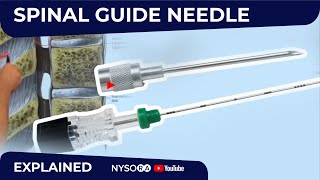 Spinal anesthesia How to use Guide Needle  Regional Anesthesia Crash Course with Dr Hadzic [upl. by Dylane731]