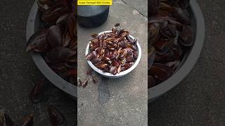 Mussel shell cleaning  supersamayalwithannies food shortsmusselshellcleaningseafood [upl. by Flavius]