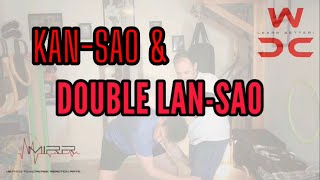 WING CHUN KAN SAO amp DOUBLE LANSAO [upl. by Medea]