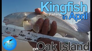 Kingfish in April fishing on Oak Island [upl. by Dace]