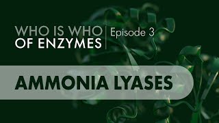 Who Is Who of Enzymes Ammonia Lyases [upl. by Lovel]